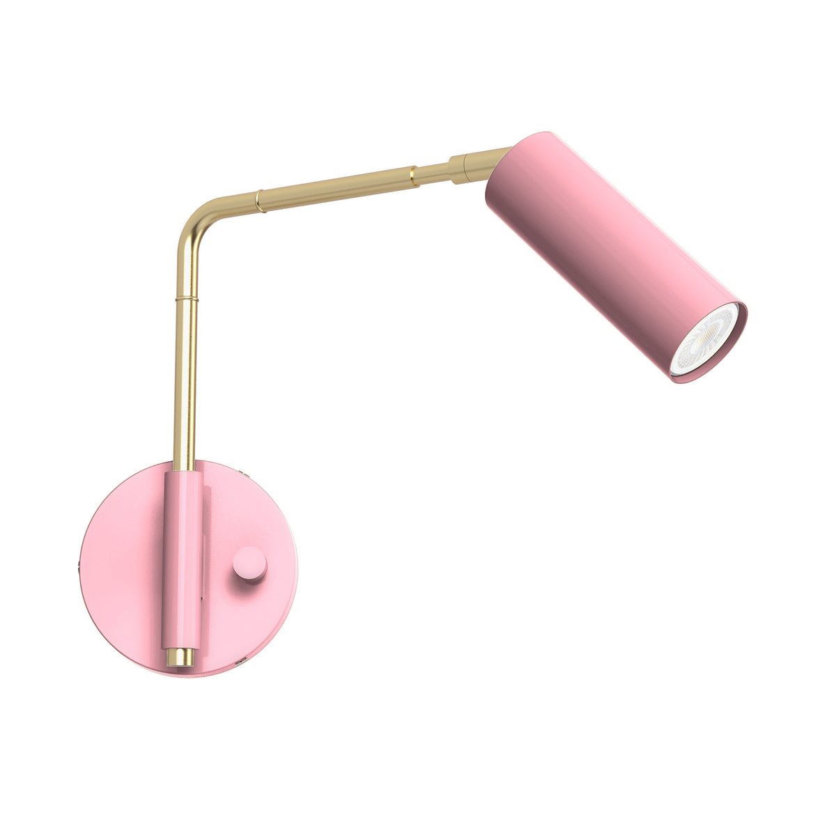 brass pinkaboo color reader swing arm sconce - 9" arm dutton brown lighting