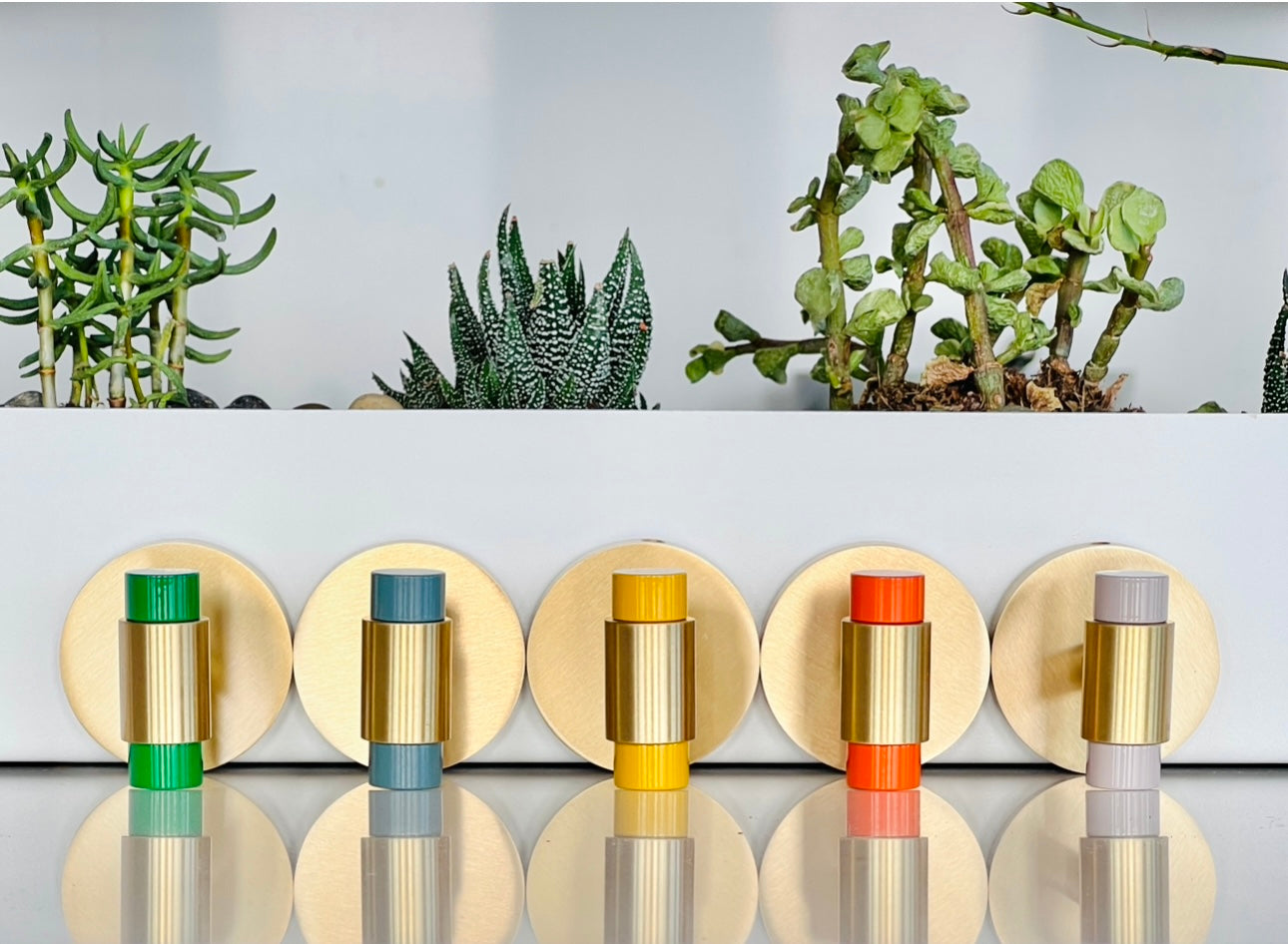 Color Persona wall hooks brass finish Dutton Brown hardware