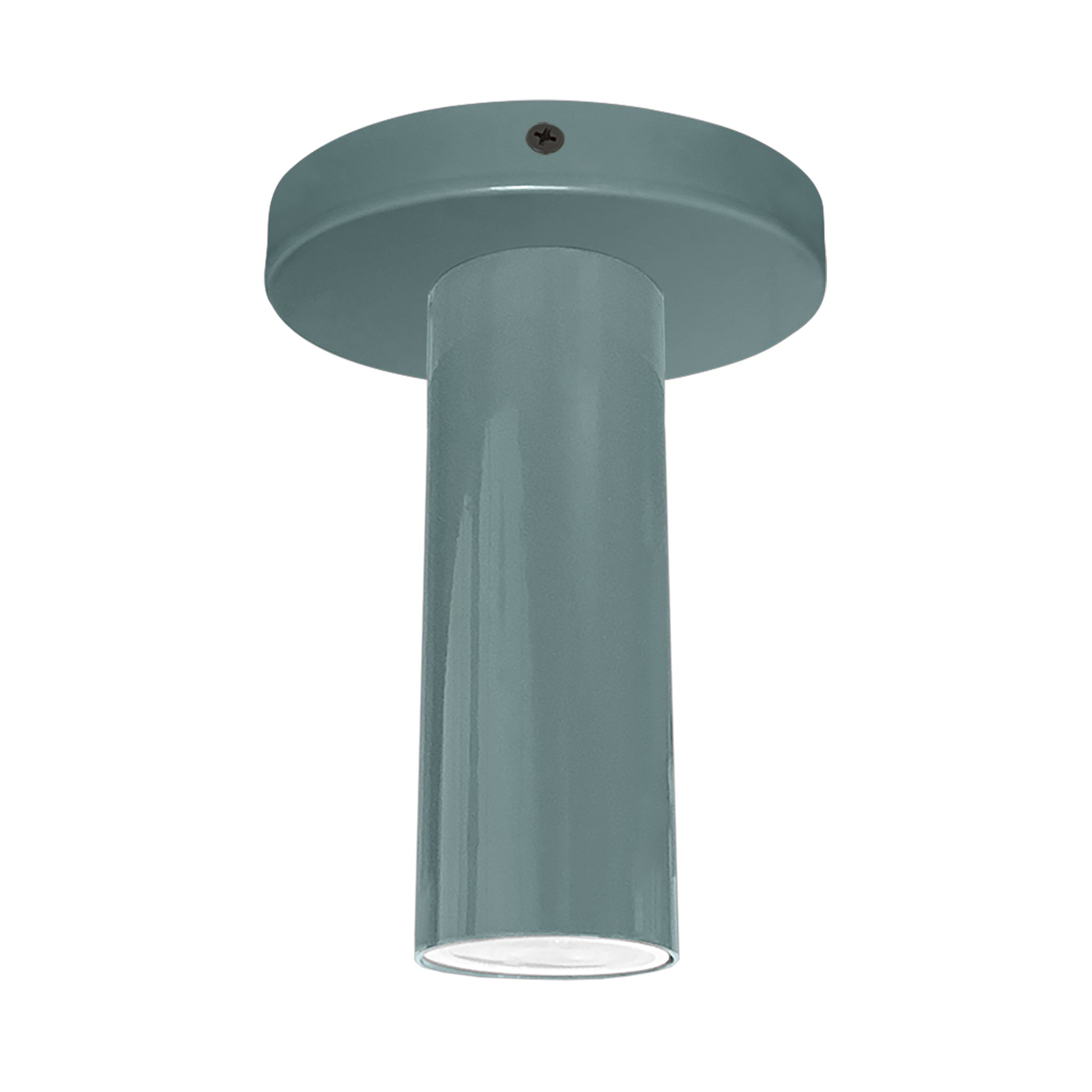 Black and lagoon color Reader flush mount Dutton Brown lighting