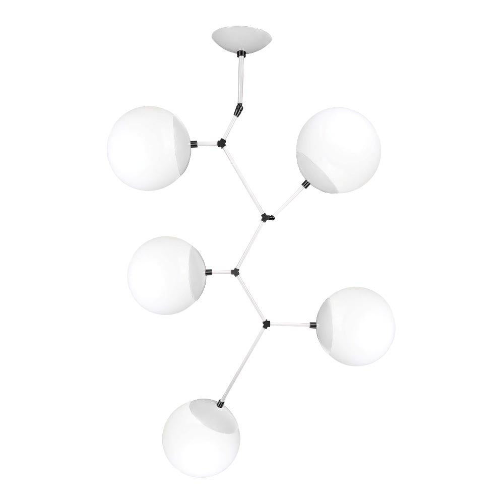 Black and white color Astar 5 chandelier Dutton Brown lighting