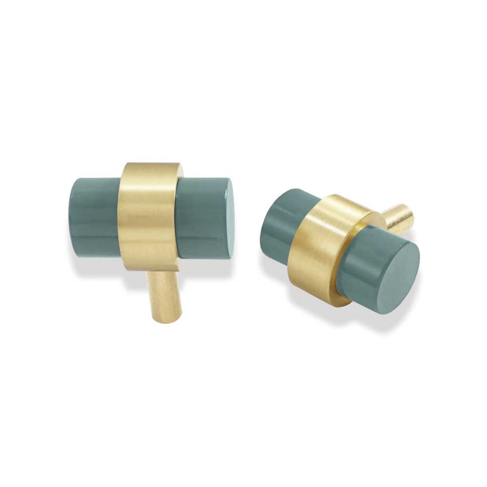 Brass and lagoon color Persona Knob Dutton Brown hardware