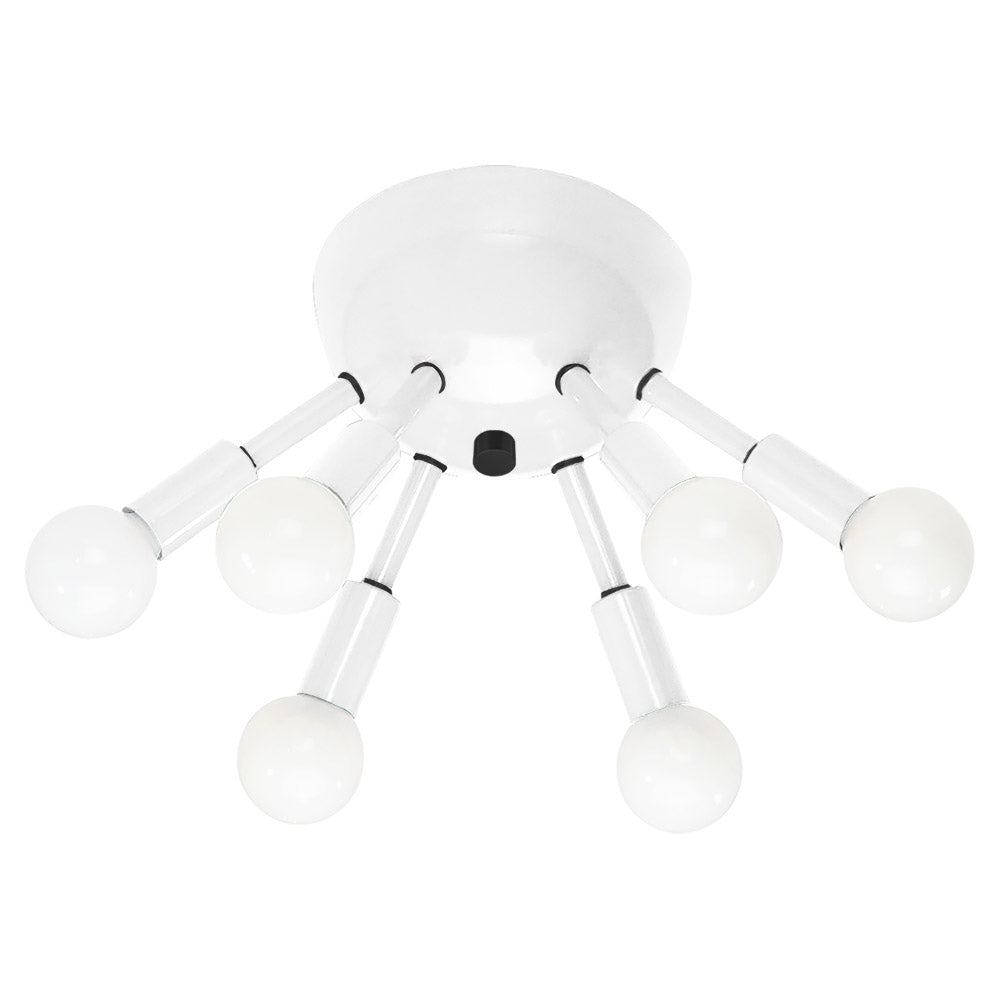 Black and white color Sputnik flush mount Dutton Brown lighting