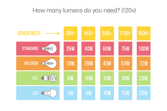 The Difference Between Watts and Lumens