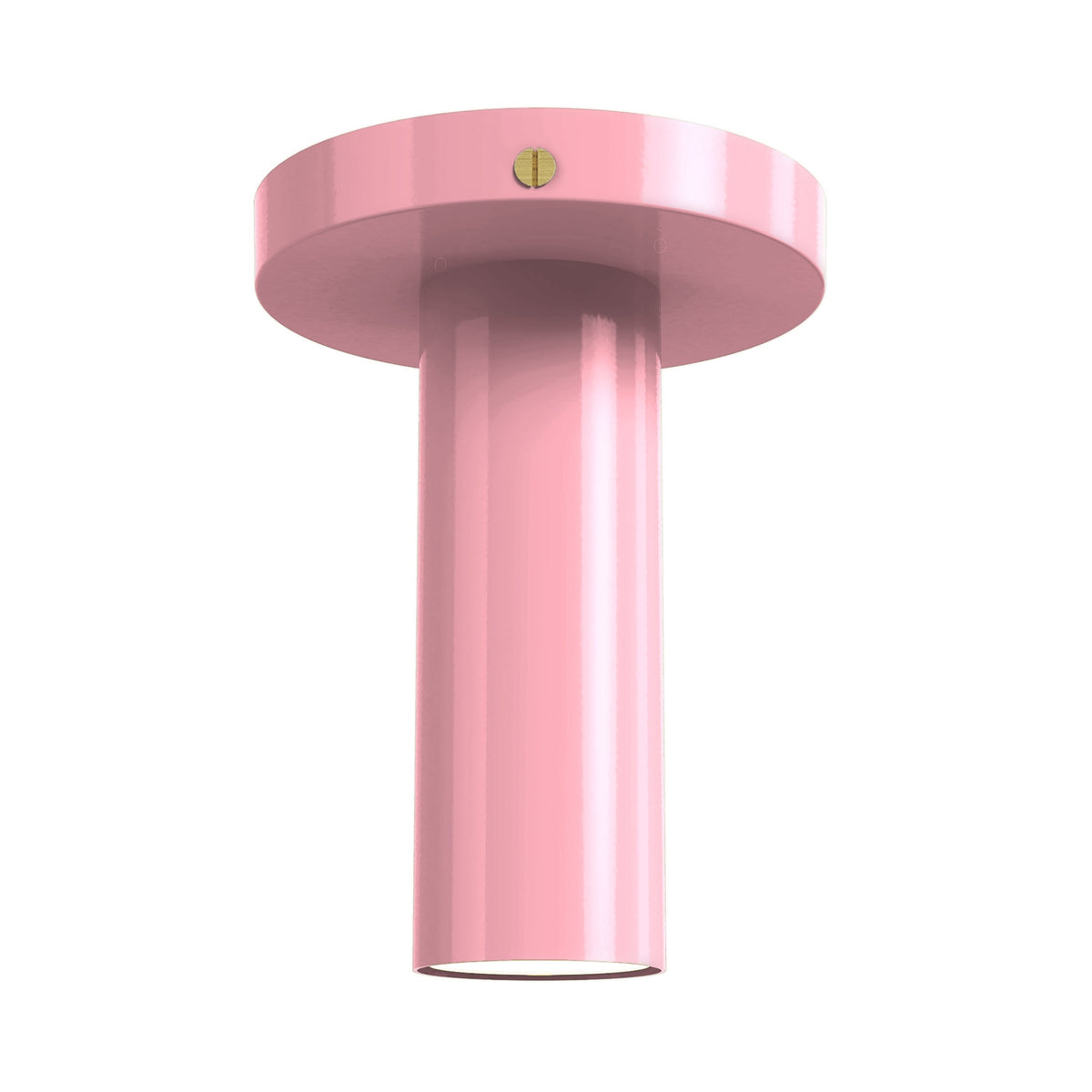 brass pinkaboo color reader flush mount lighting dutton brown