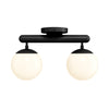 Color Icon 2 Flush Mount