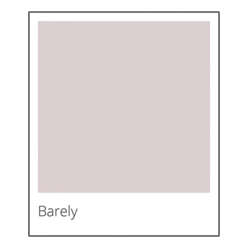 barely color swatch box Dutton Brown