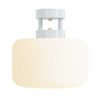 Color Maxo Flush Mount 8"
