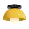 Color Hemi Flush Mount 10"