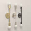 Scepter Sconce 18 in All Brass, All Nickel and All Black, 8-second product video. Dutton Brown lighting