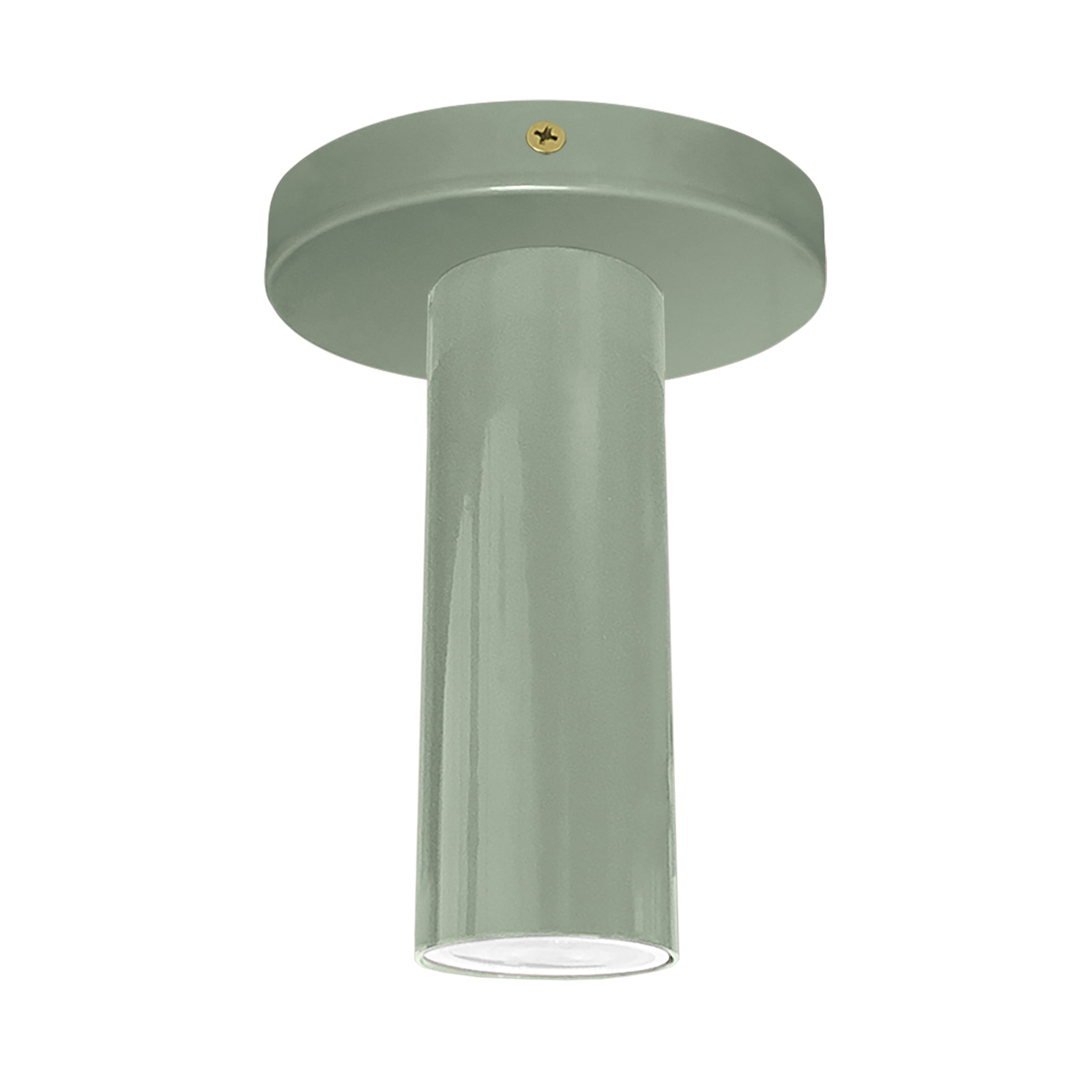 Brass and spa color Reader flush mount Dutton Brown lighting