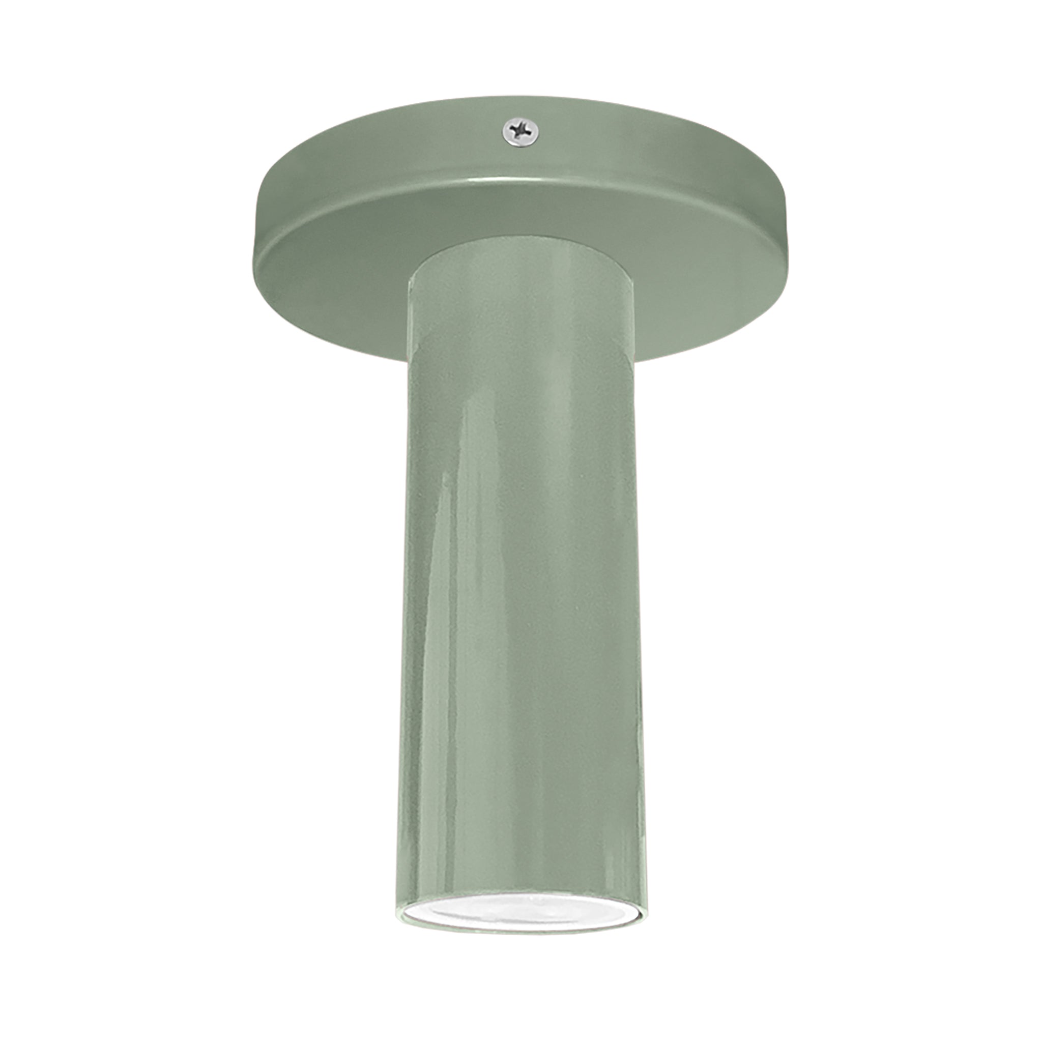 Nickel and spa color Reader flush mount Dutton Brown lighting