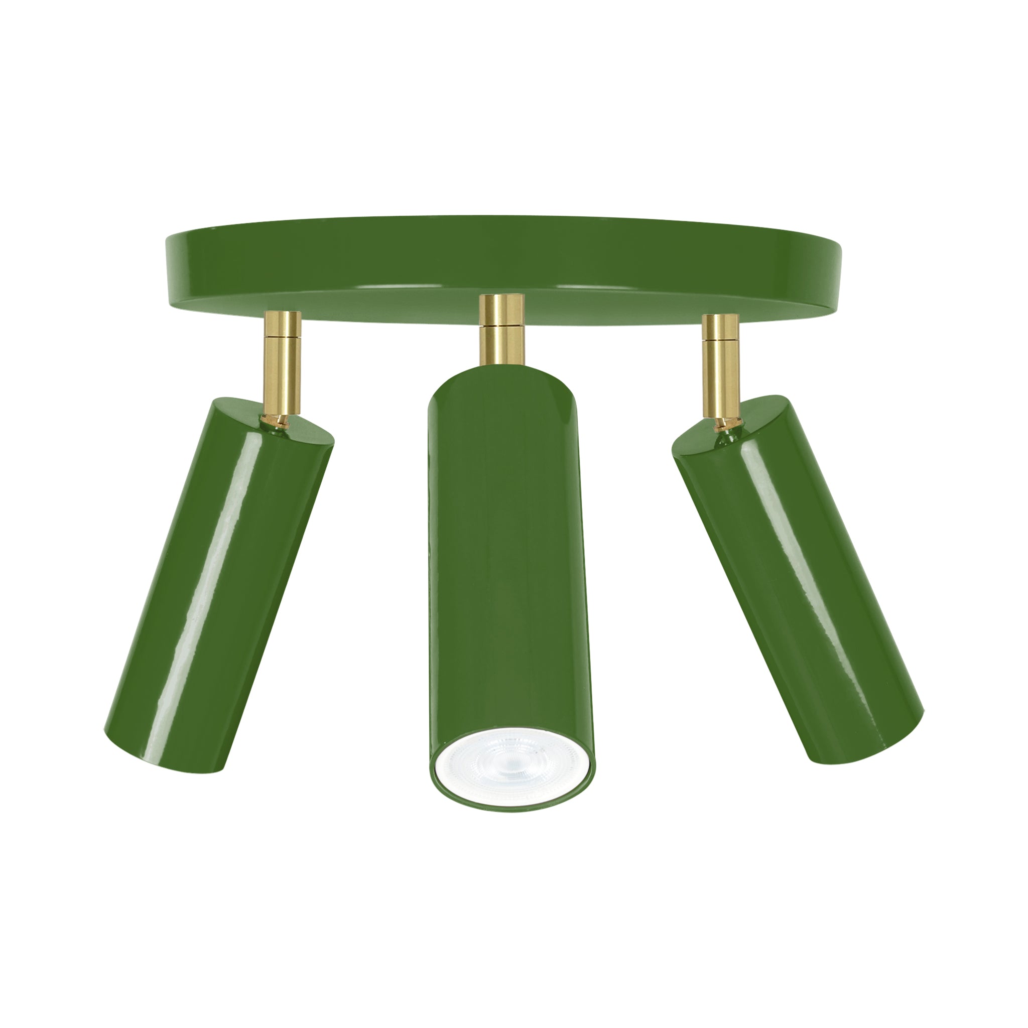 Brass and python green color Pose flush mount Dutton Brown lighting