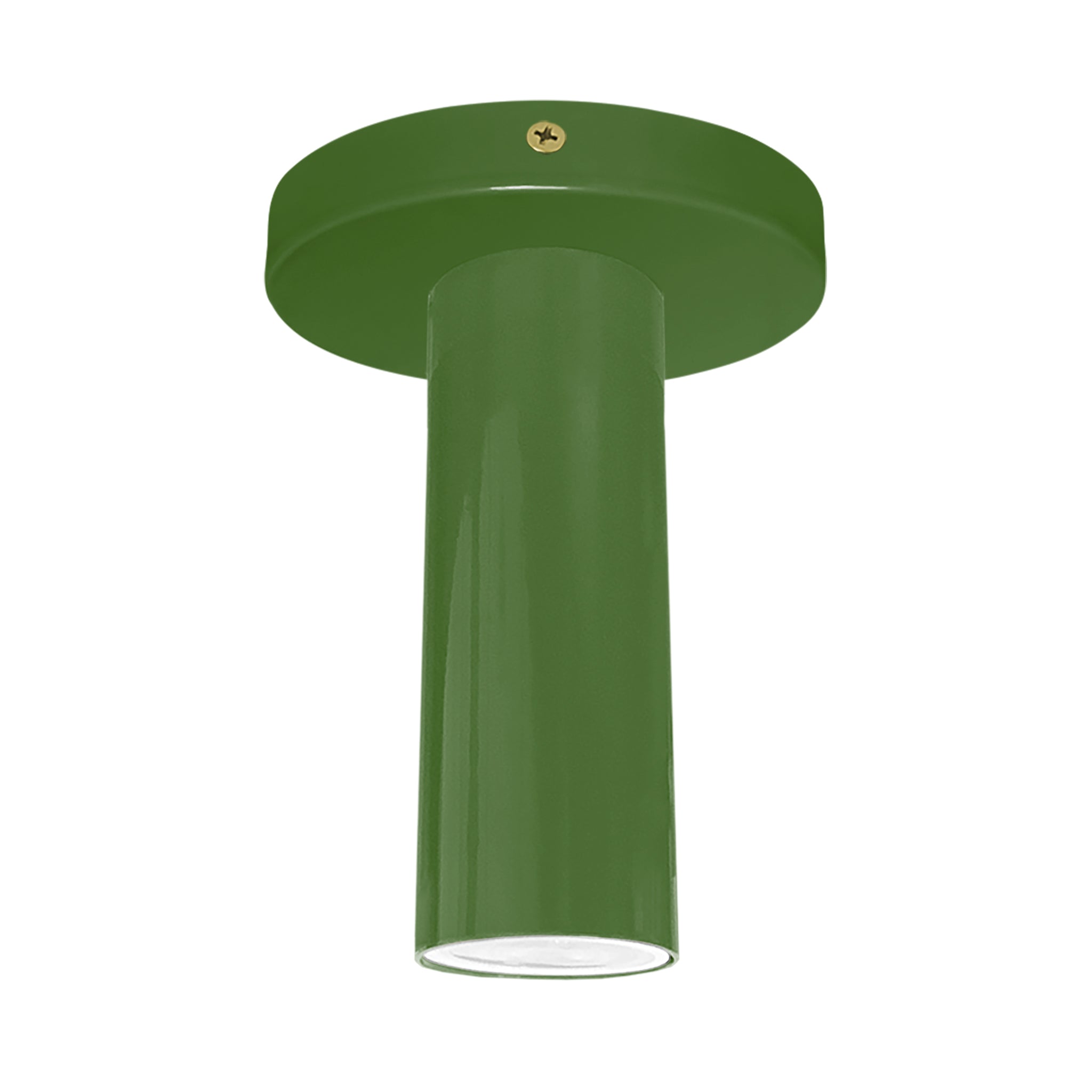 Brass and python green color Reader flush mount Dutton Brown lighting