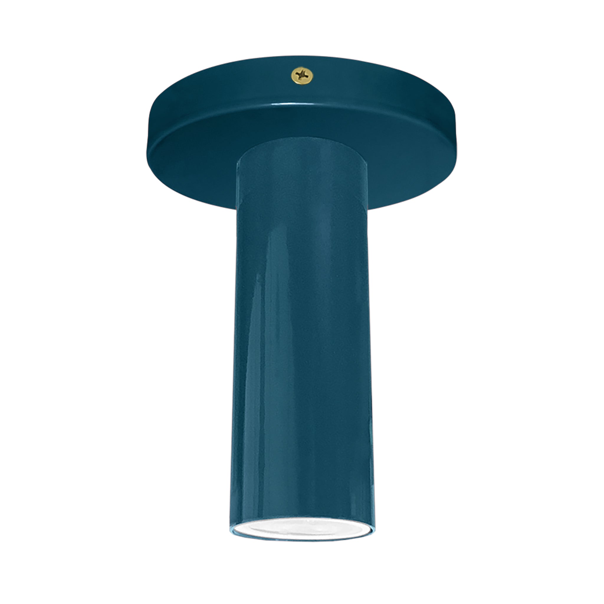 Brass and slate blue color Reader flush mount Dutton Brown lighting